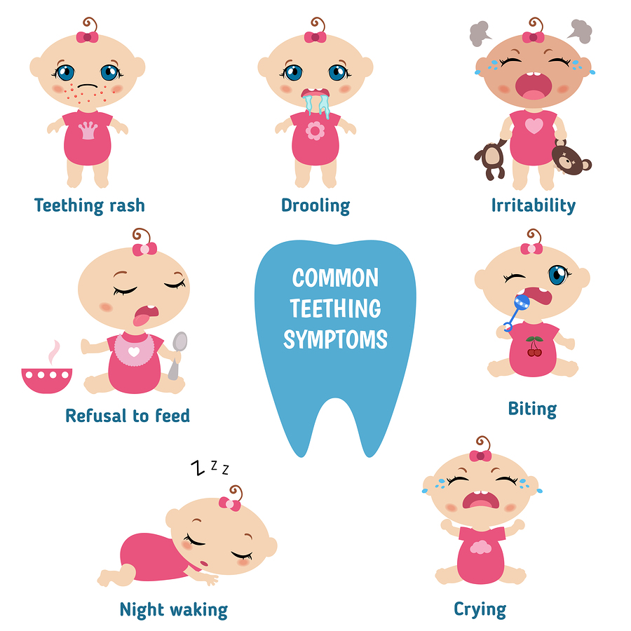 Teething signs and symptoms. Set of babies illustrating the symptoms of teething. Baby teething infographic.