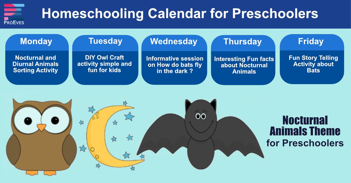 Nocturnal Animals Preschool Calendar Theme | Proeves Learning Lab