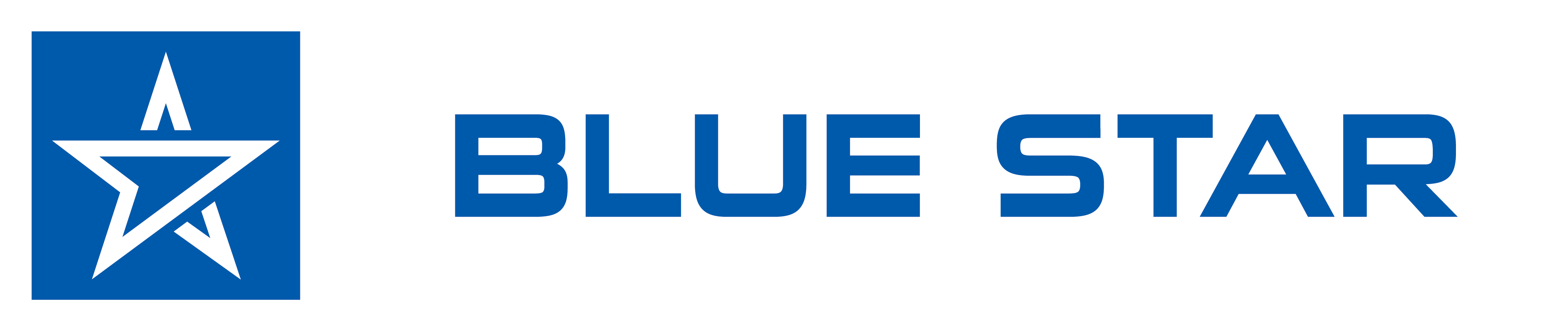 Daycare Bluestar Logo